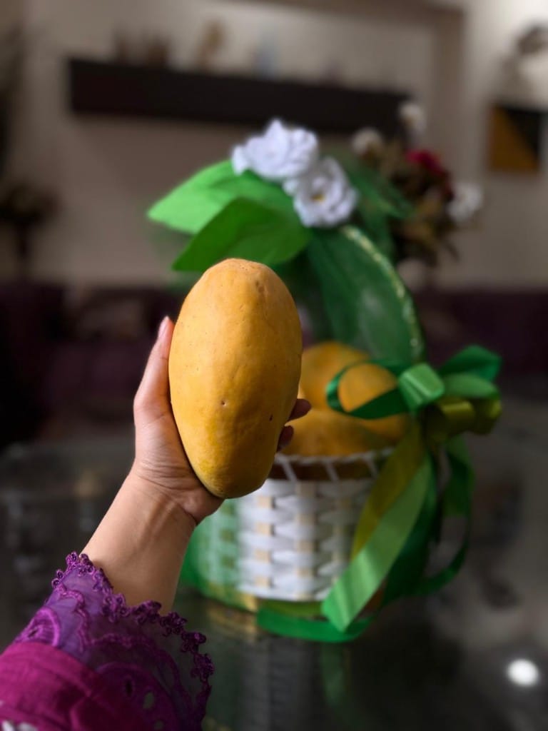 Close-up of a mango gift basket with green mesh and decorative bow